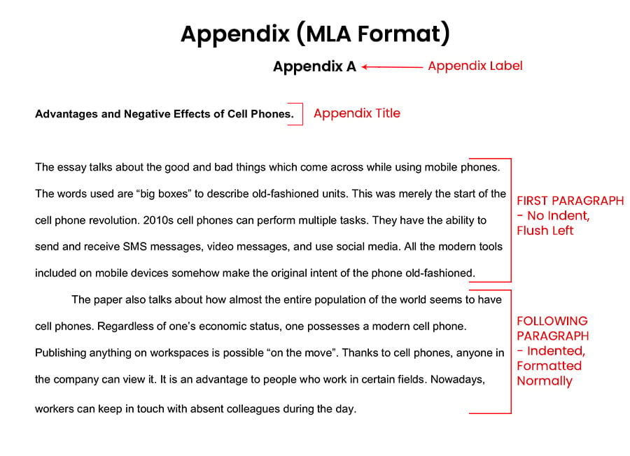 appendix essay sample