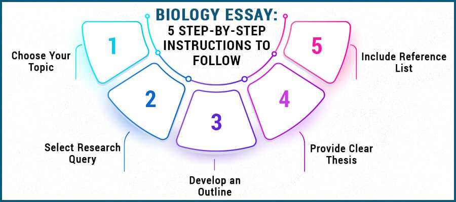 how to write a biology essay 5 steps